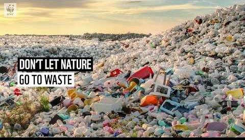 Queensland Tops WWF-Australia’s Single-Use Plastics Scorecard